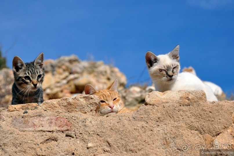 Таррагона новогодняя