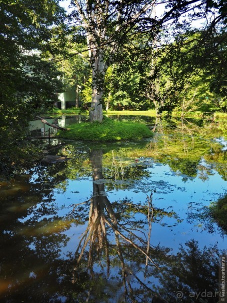 Сигирия — жемчужина Шри-Ланки