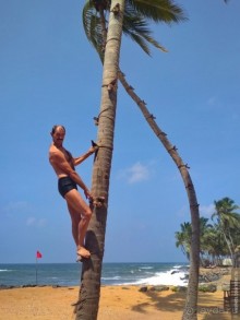 Сигирия — жемчужина Шри-Ланки