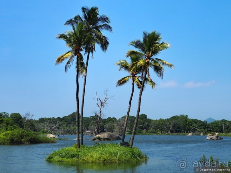 Сигирия — жемчужина Шри-Ланки