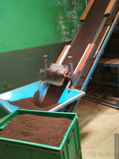 Сигирия — жемчужина Шри-Ланки