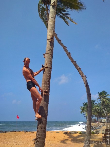 Сигирия — жемчужина Шри-Ланки