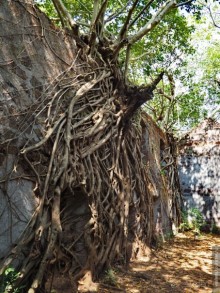 Гоа — Бомбей. Из рая в ад переезжая