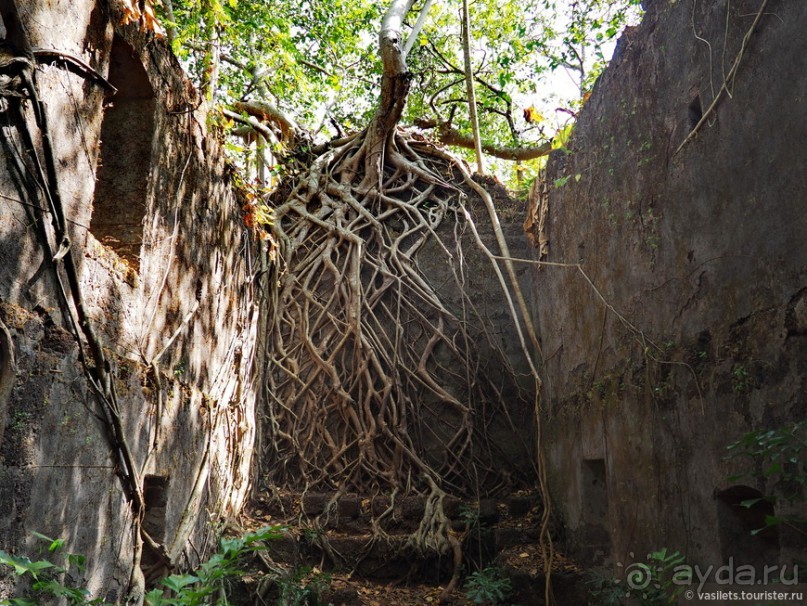 Гоа — Бомбей. Из рая в ад переезжая