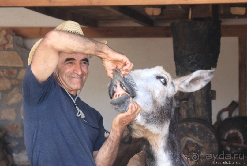 фото Херсониссоса