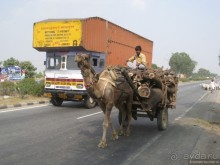 Шокирущая Индия. Дели