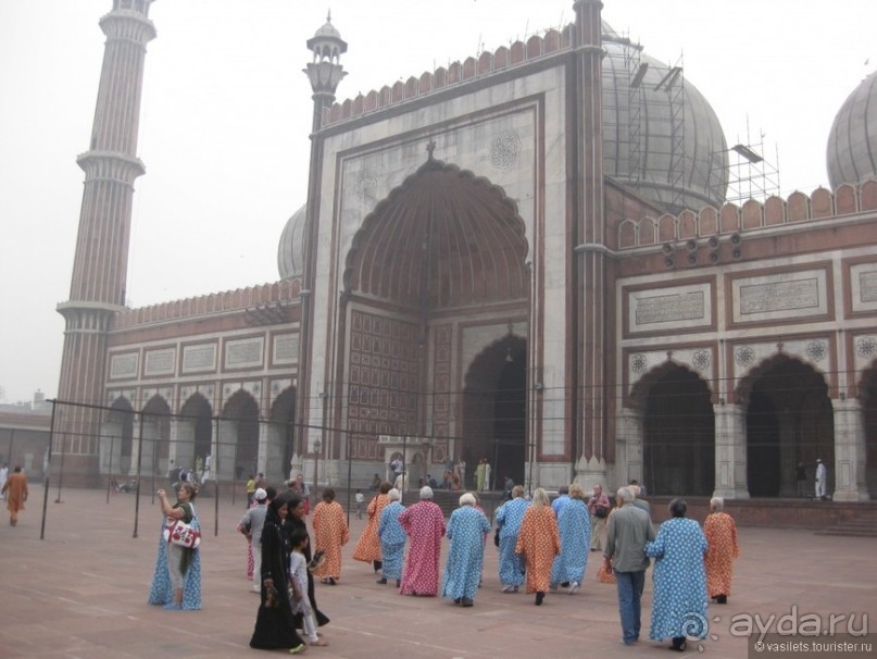 Шокирущая Индия. Дели