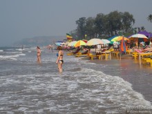 Индийская e-visa самостоятельно