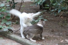 Ялта. За и Против