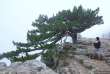 Ялта. За и Против