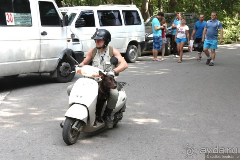 Ялта. За и Против