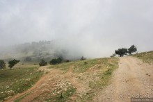 Ялта. За и Против