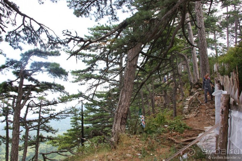 Ялта. За и Против