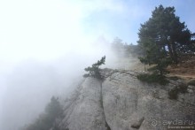 Ялта. За и Против