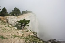 Ялта. За и Против