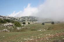 Ялта. За и Против