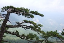 Ялта. За и Против