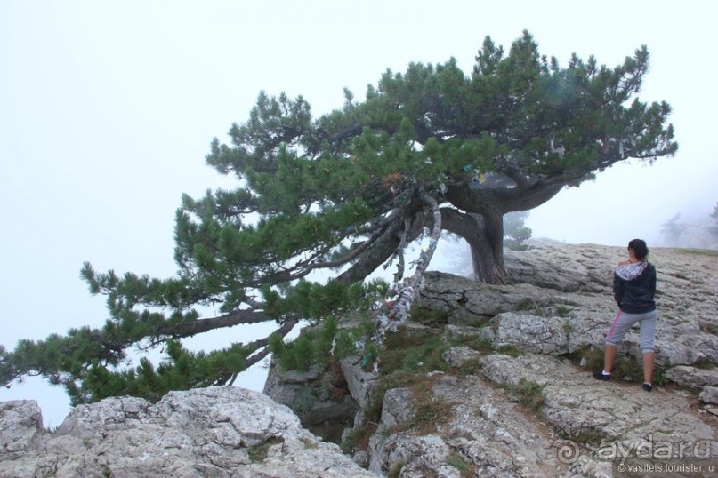 Ялта. За и Против