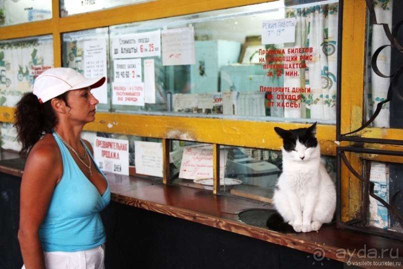 Ялта. За и Против