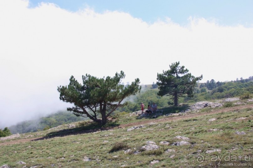 Ялта. За и Против