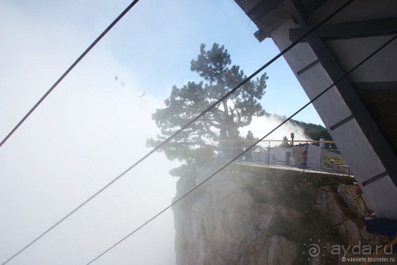 Ялта. За и Против