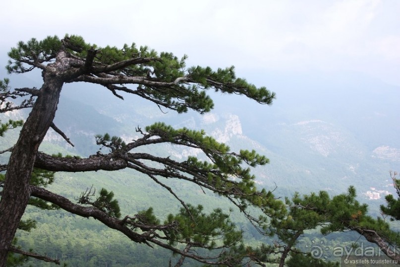 Ялта. За и Против