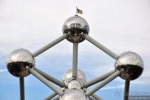 Случайный взгляд на Брюссель