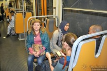 Случайный взгляд на Брюссель