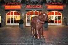 Случайный взгляд на Брюссель