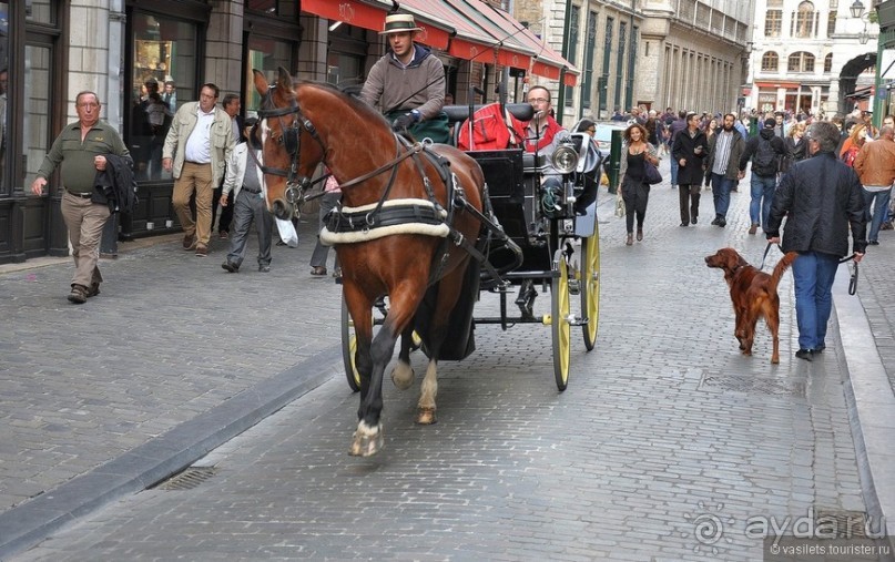 Случайный взгляд на Брюссель