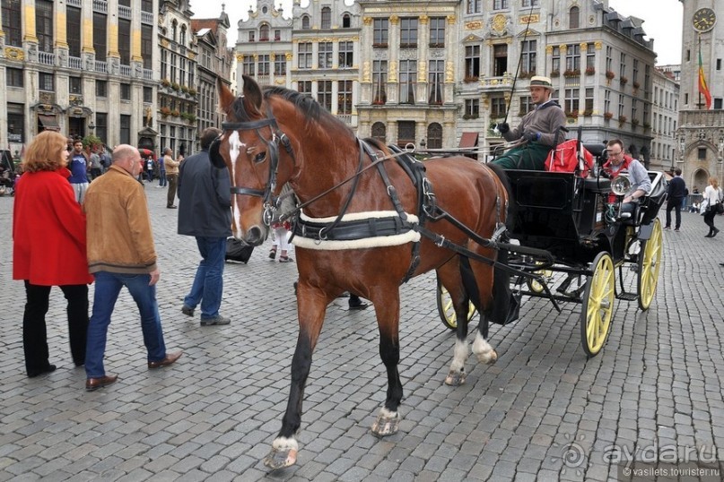 Случайный взгляд на Брюссель