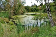 Новый Иерусалим