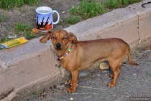 Альбом отзыва "Новый Иерусалим"