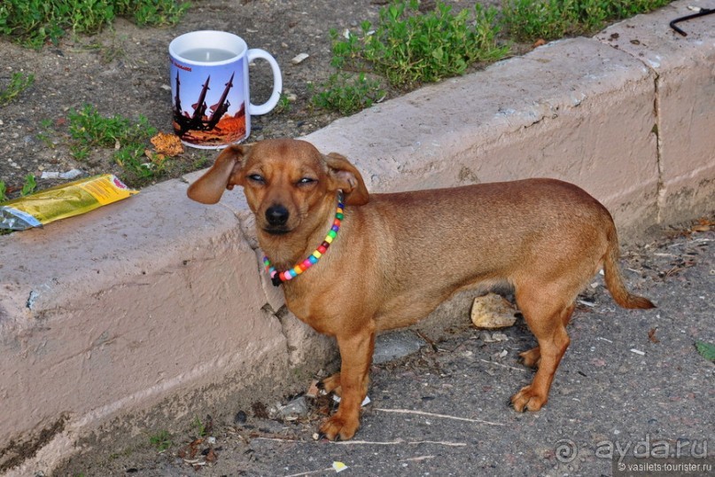 Новый Иерусалим