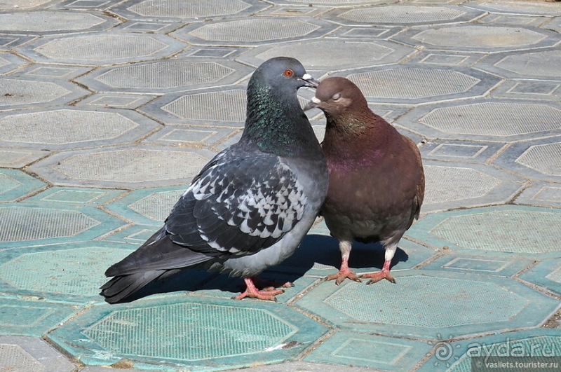 Дмитров. Фото-бродилка одного дня