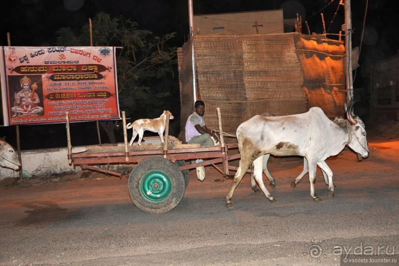 Индия. Хампи. Ищем Маугли