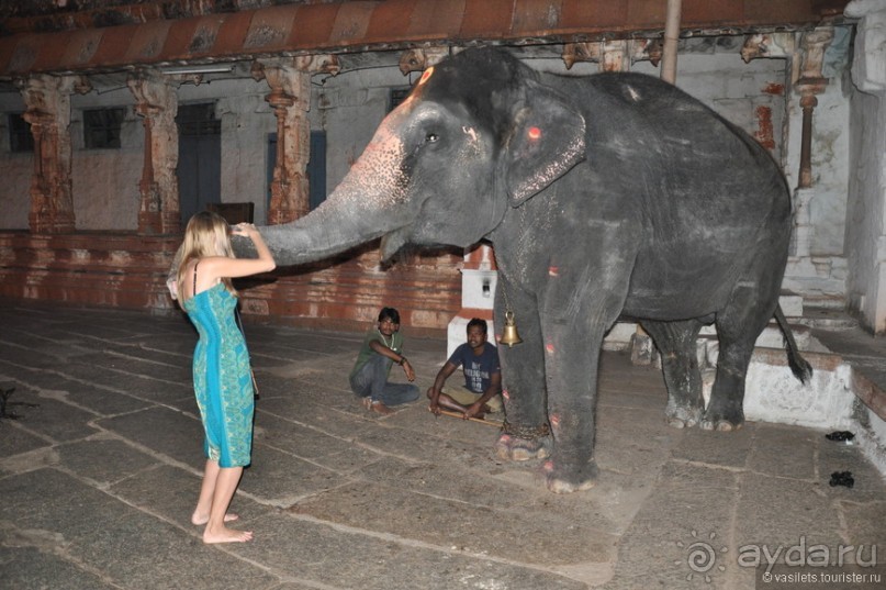 Индия. Хампи. Ищем Маугли