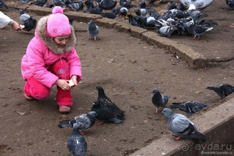 Золотое полукольцо. Сергиева Лавра