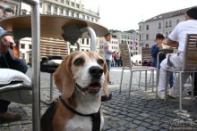 Скромное обаяние баварского Аугсбурга