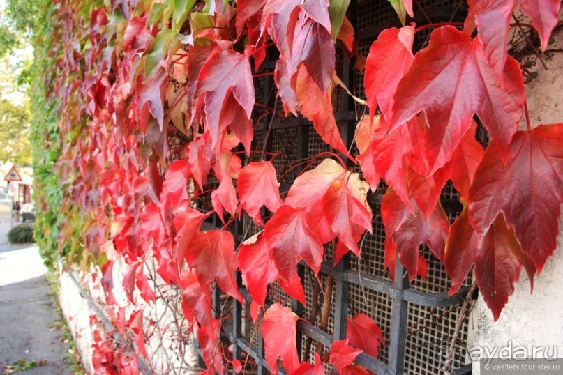 Скромное обаяние баварского Аугсбурга