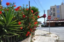 Ларнака - это не столица Кипра