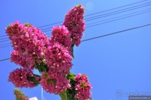 Ларнака - это не столица Кипра