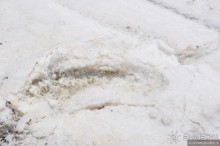 Ларнака - это не столица Кипра