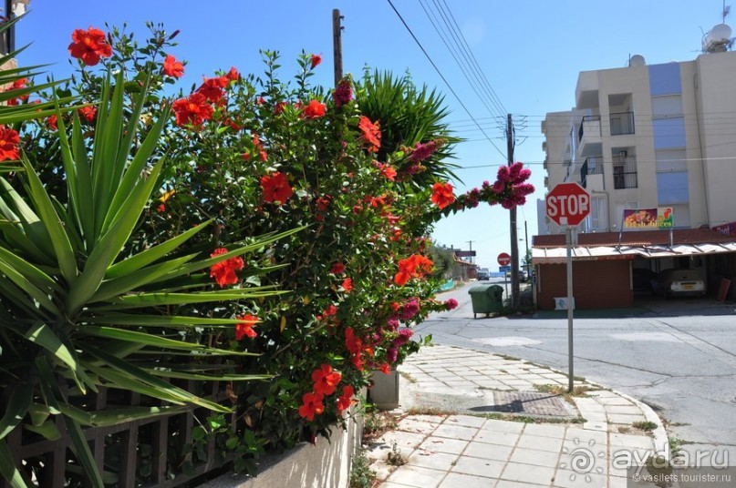 Ларнака - это не столица Кипра