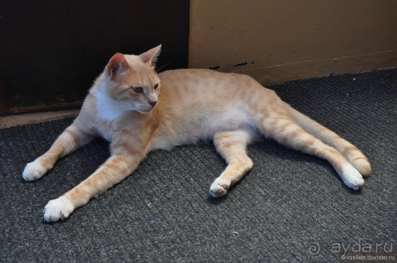 Ларнака - это не столица Кипра