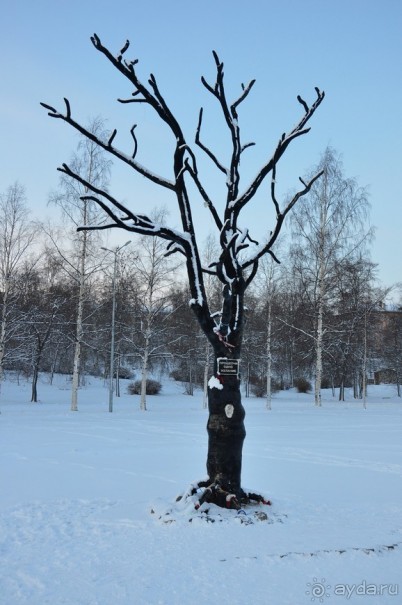 Петрозаводск перед Рождеством
