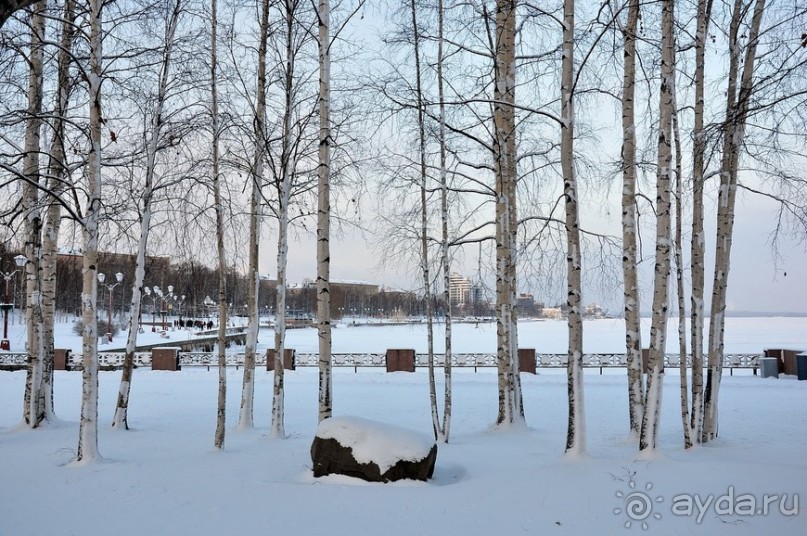 Петрозаводск перед Рождеством