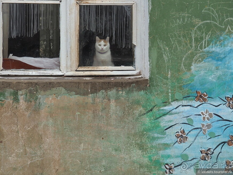 Дмитров-квест за Царевной-лягушкой