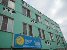 Дмитров-квест за Царевной-лягушкой