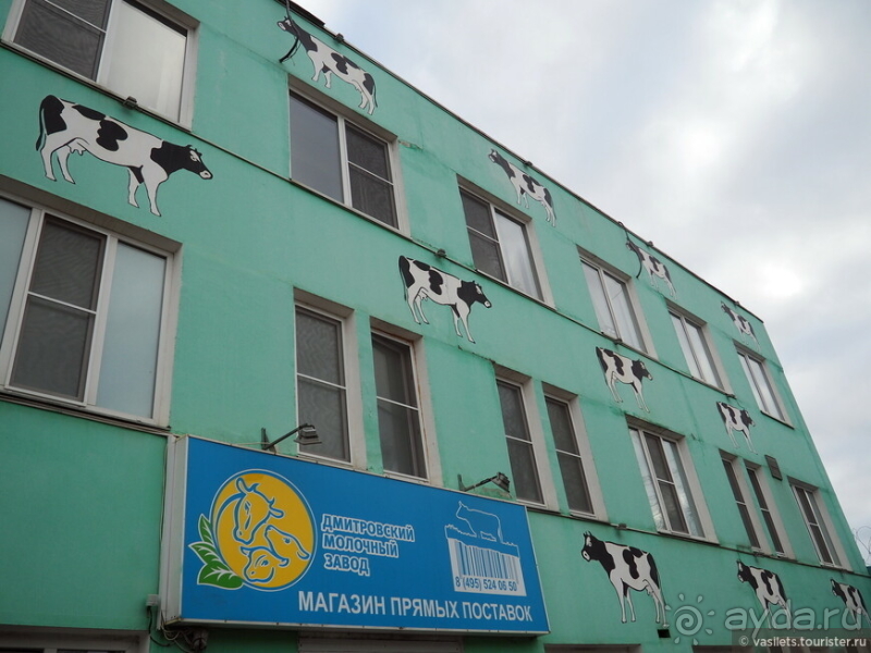 Дмитров-квест за Царевной-лягушкой